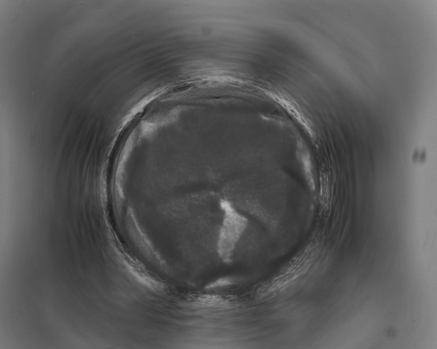 X0000097620390200803281041