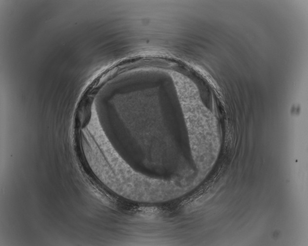 X0000097620391200803281041