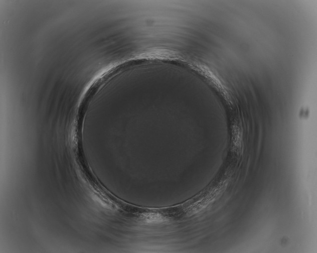 X0000097620392200803281041