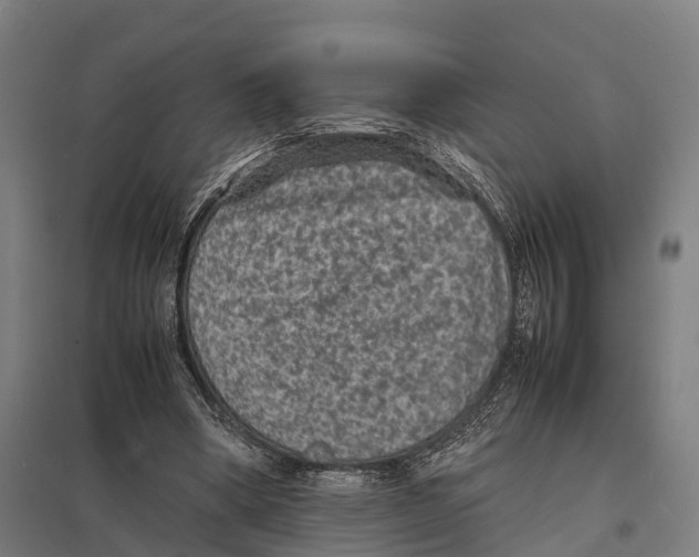 X0000097620394200803281041