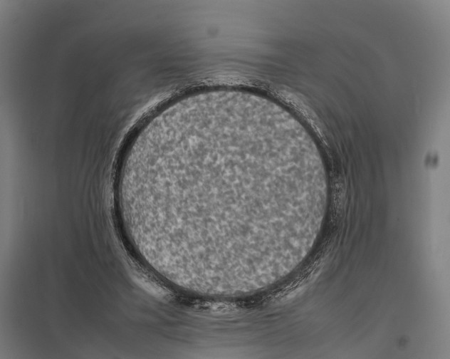 X0000097620395200803281041