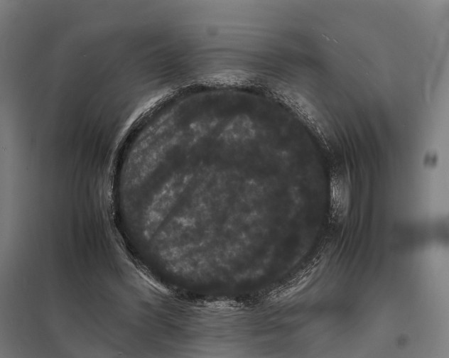 X0000097620396200803281041