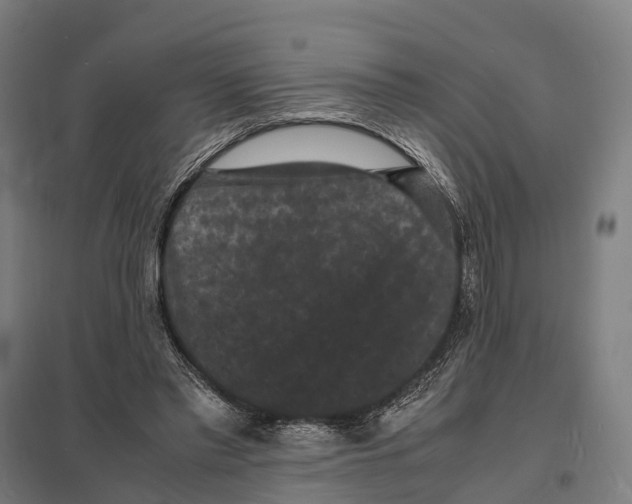 X0000097620397200803281041