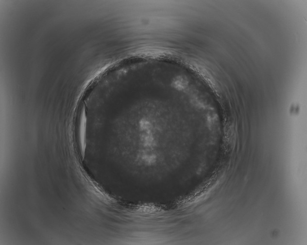 X0000097620399200803281041