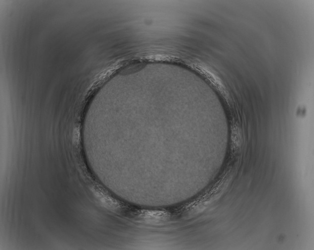 X0000097620401200803281041
