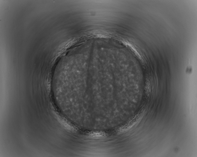 X0000097620402200803281041