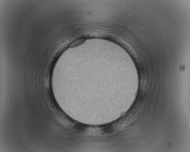 X0000097620403200803281041