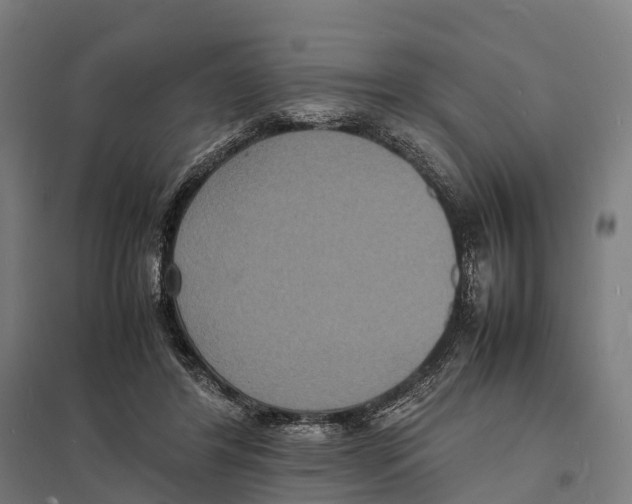 X0000097620404200803281041
