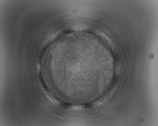 X0000097620405200803281041