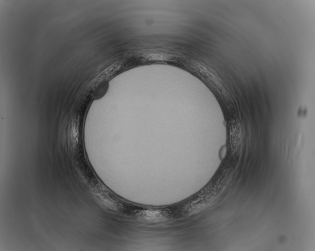 X0000097620406200803281041