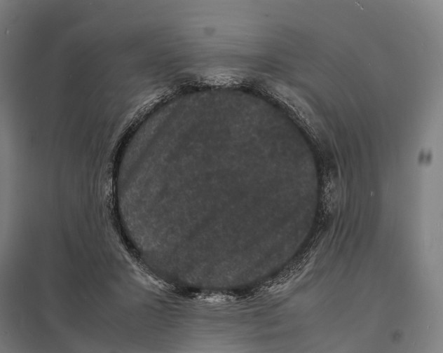 X0000097620407200803281041