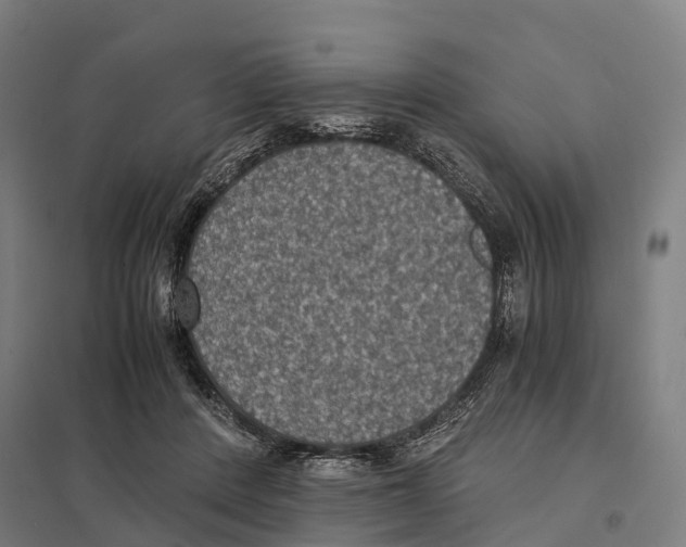 X0000097620408200803281041