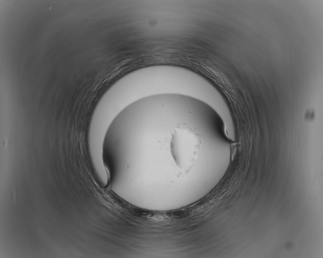 X0000097620409200803281041