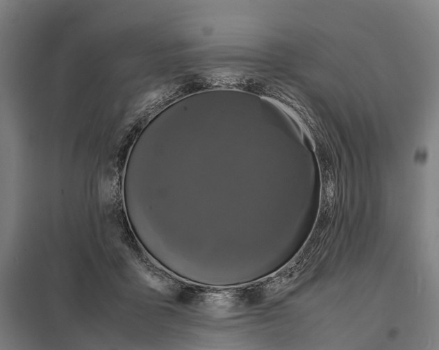 X0000097620411200803281040