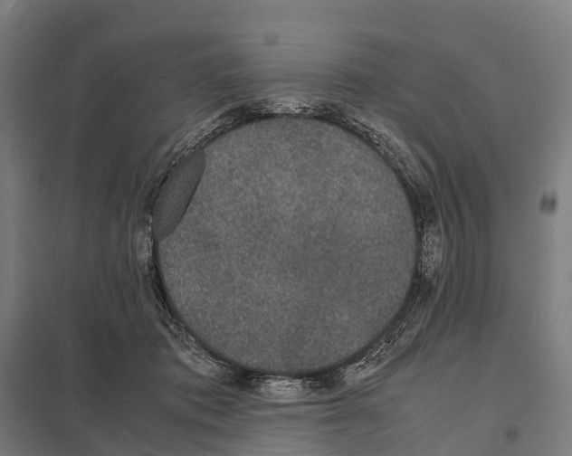 X0000097620413200803281040