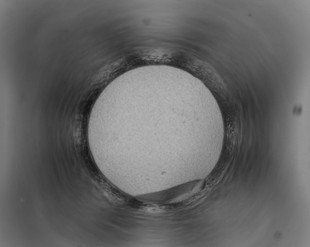 X0000097620416200803281040