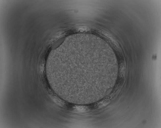 X0000097620417200803281040