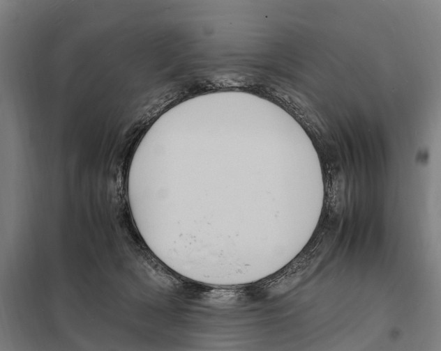 X0000097620418200803281040