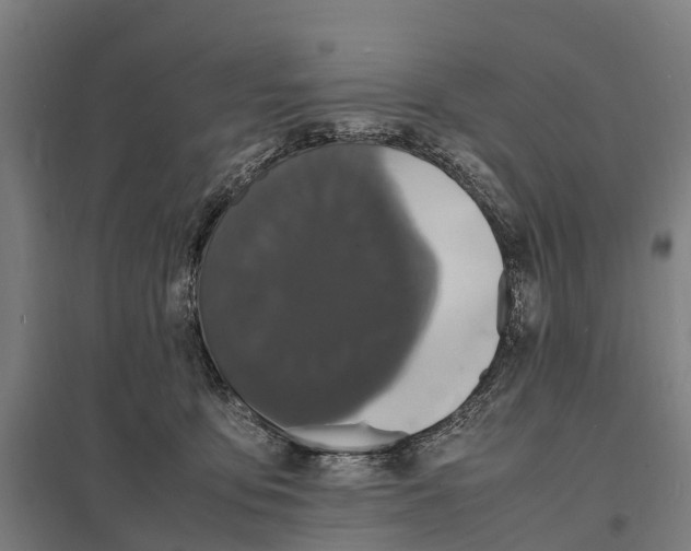 X0000097620419200803281040