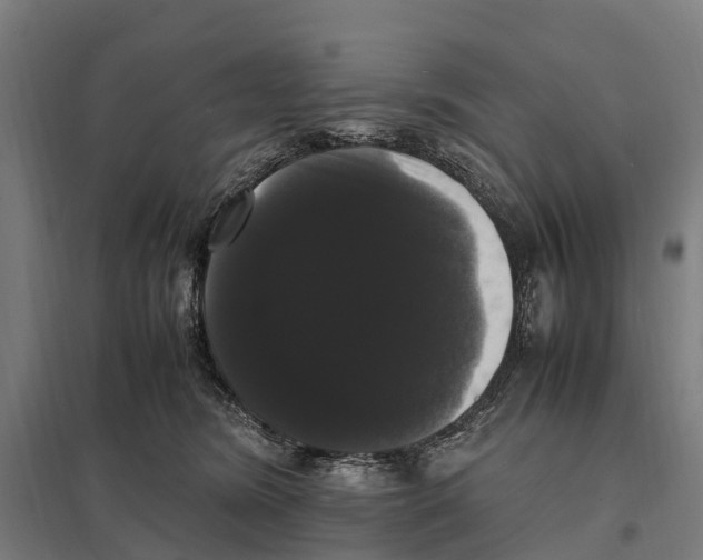 X0000097620420200803281040