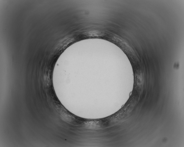 X0000097620422200803281040