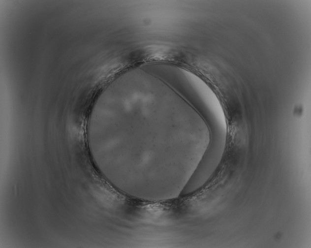 X0000097620423200803281040
