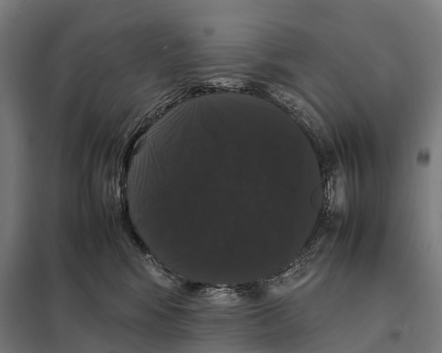 X0000097620424200803281040