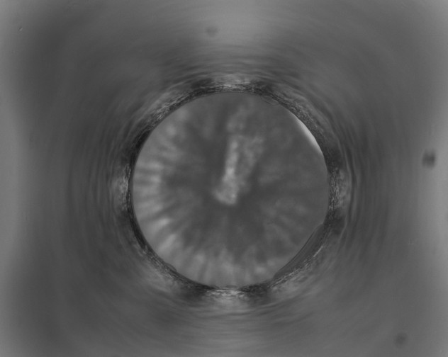 X0000097620427200803281040
