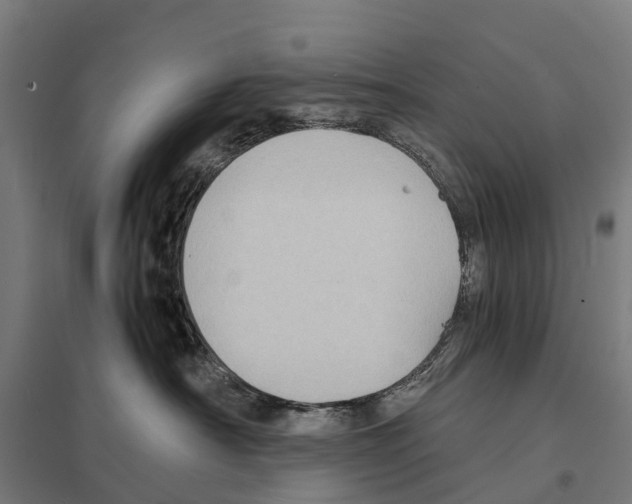 X0000097620430200803281040