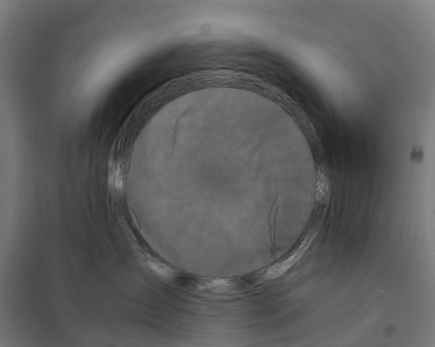 X0000097620431200803281040