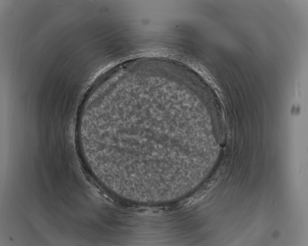 X0000097620434200803281040