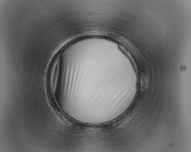 X0000097620436200803281040