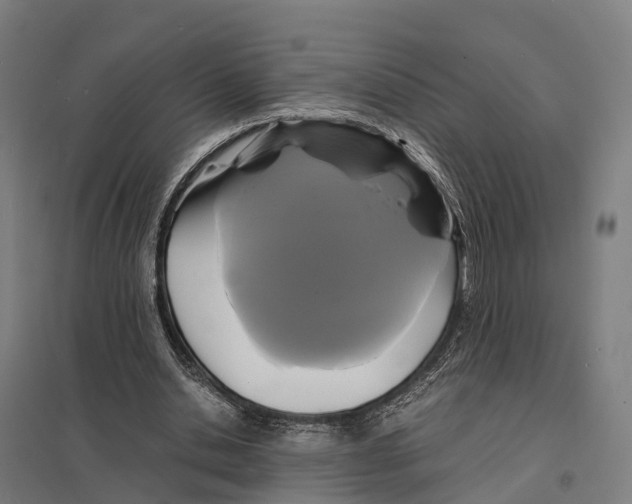 X0000097620438200803281040