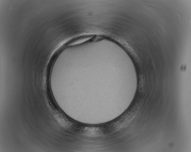 X0000097620440200803281040