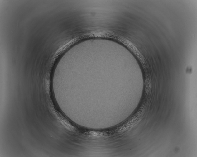 X0000097620442200803281040