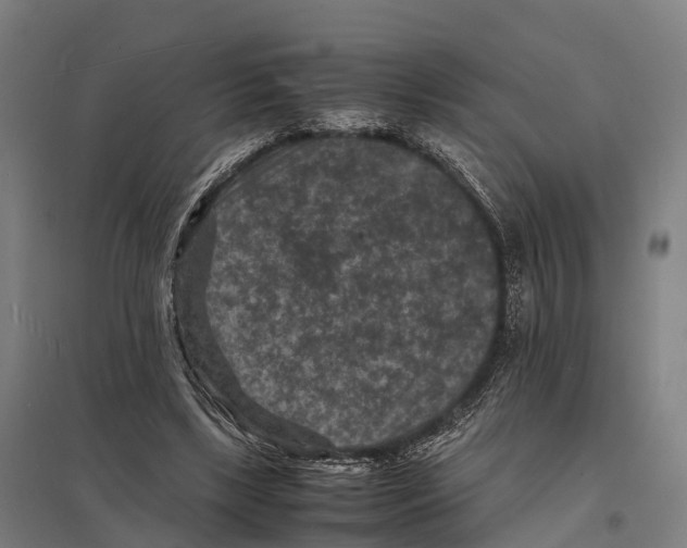 X0000097620443200803281040