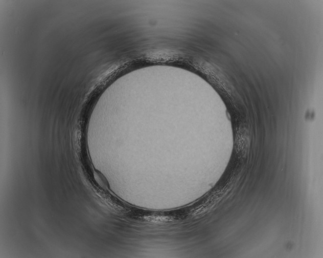 X0000097620448200803281040