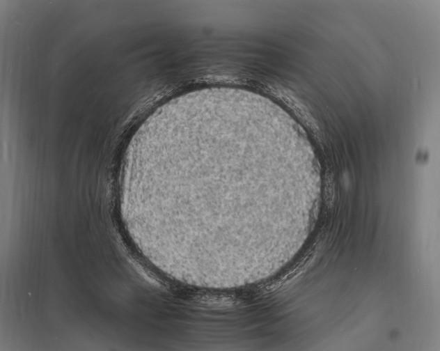 X0000097620449200803281040