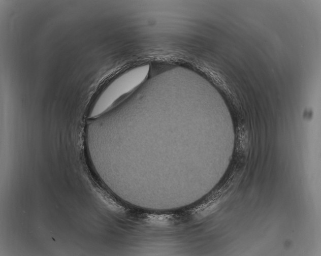 X0000097620450200803281040