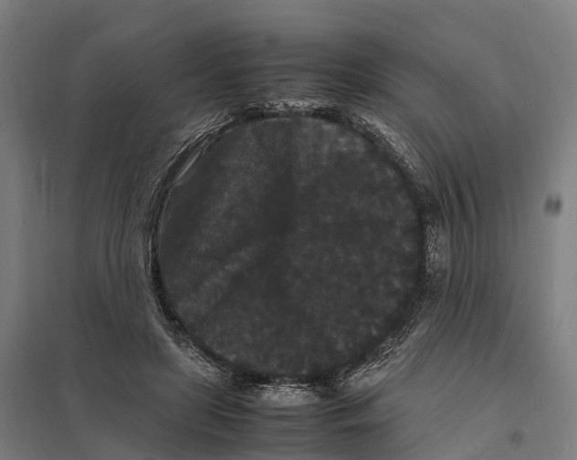 X0000097620451200803281040