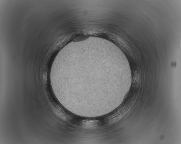 X0000097620452200803281040