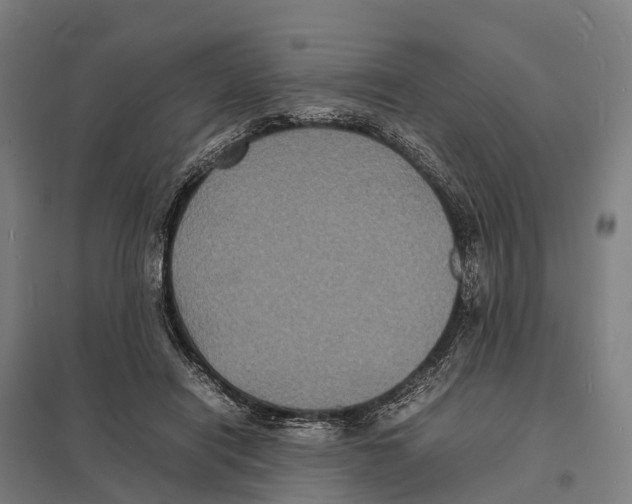 X0000097620454200803281040