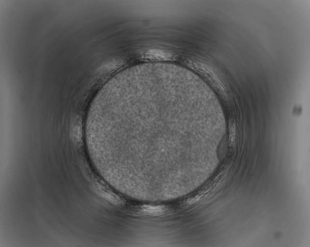 X0000097620457200803281040