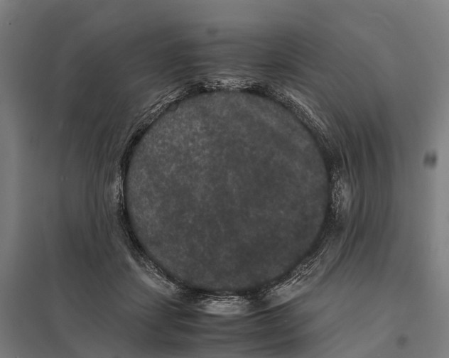 X0000097620459200803281040