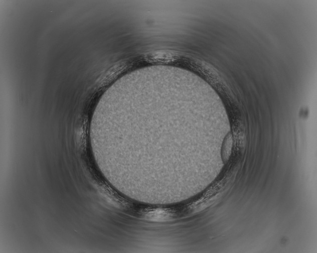 X0000097620460200803281040