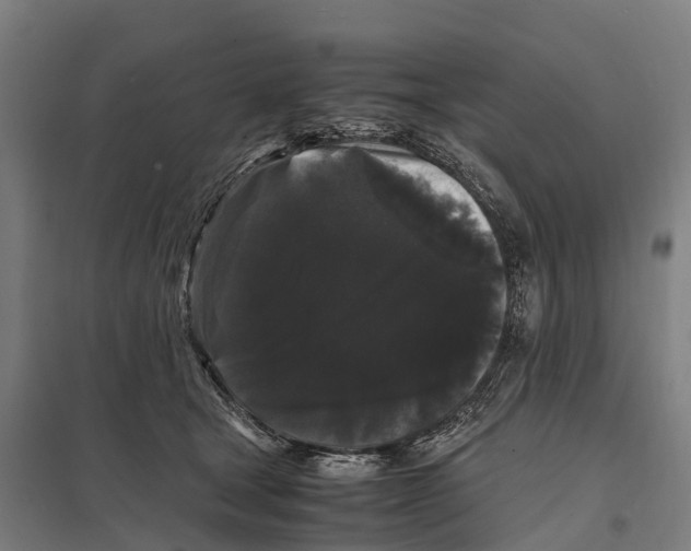 X0000097620465200803281040
