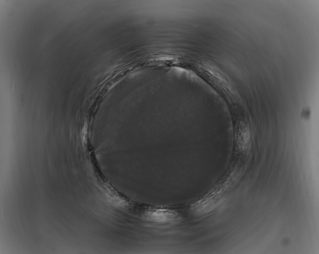 X0000097620467200803281040