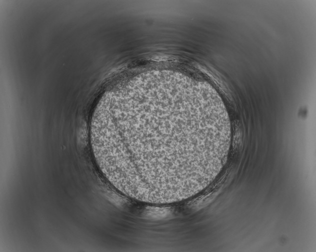 X0000097620469200803281040