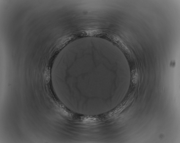 X0000097620471200803281040