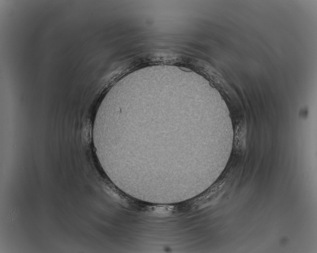 X0000097620474200803281040